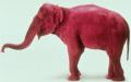 Come Party With Me: Red and Green Themed White Elephant