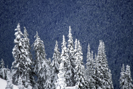 Come Party With Me: Winter Wonderland Weekend Getaway - Menu