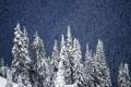 Come Party With Me: Winter Wonderland Weekend Getaway - Menu
