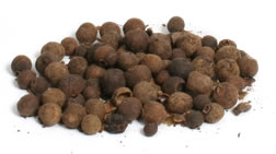 Allspice Allspice