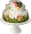 Twinkle in My Eye Cake