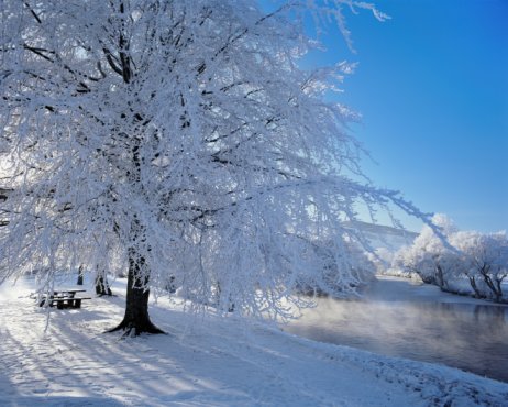 Come Party With Me: WInter Wonderland Weekend Getaway - Music