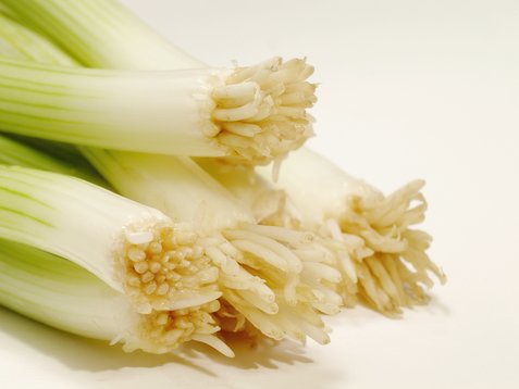 Secret Ingredient: Tofu Recap & Green Onions Next