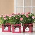Valentine's Day Gift Guide: Heartfelt Finds For The Happy Hostess