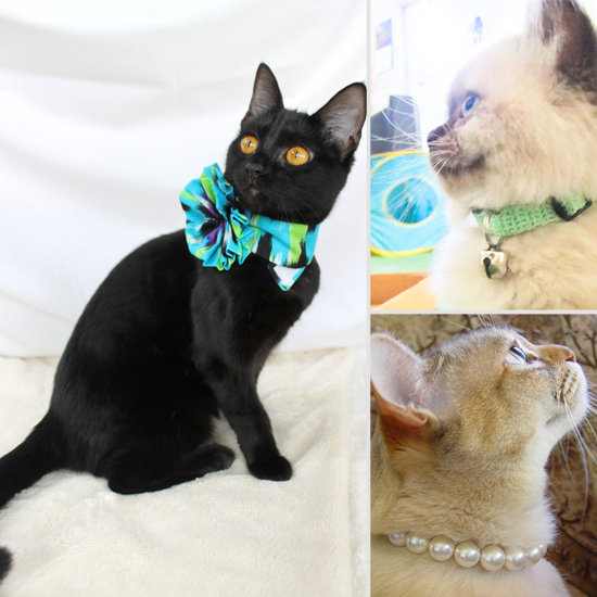Cute Handmade Cat Collars | POPSUGAR Pets