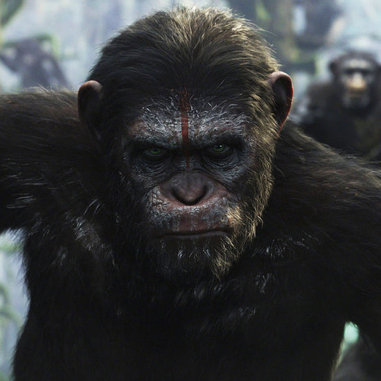 Dawn of the Planet of the Apes | POPSUGAR Celebrity