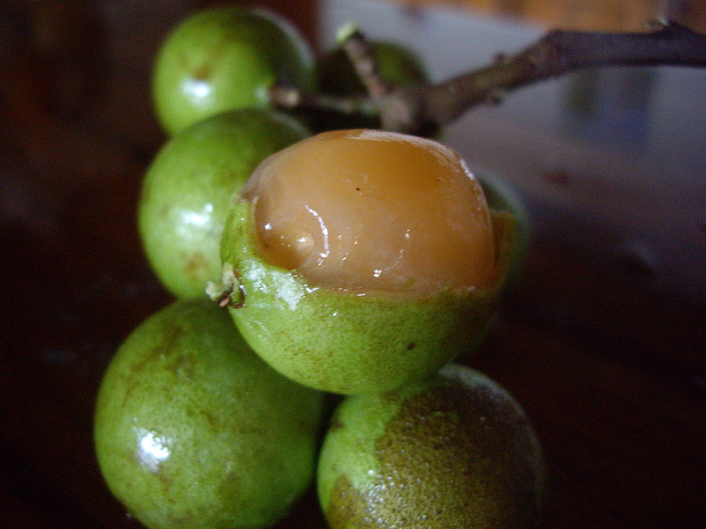 Mamones | Costa Rican Fruit Cocktail | POPSUGAR Food